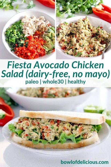 Chicken Salad No Mayo, Paleo Chicken Salad, Keto Chicken Salad, Fiesta Chicken, Avocado Chicken, Whole30 Keto, Dairy Free Paleo, Boiled Egg Diet Plan, Avocado Chicken Salad