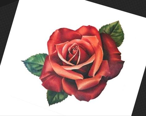 Realistic Red Rose Tattoo, Colored Pencil Rose, Rose Drawing Colored Pencil, Color Rose Tattoo Design, Rose Drawing Realistic, Red Roses Tattoo Design, Rose Tattoo Color, Drawing Rose Flower, Red Rose Tattoo Design