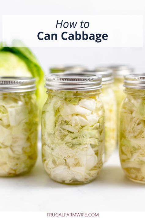 Canning Cabbage: Step-By-Step Guide - The Frugal Farm Wife Canning Red Cabbage Recipes, How To Preserve Cabbage, How To Can Cabbage, Canning Cabbage Recipes Water Bath, Canning Cabbage Water Bath, Canned Cabbage Recipes, Canning Cauliflower, Canned Cabbage, Canning Onions