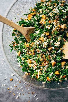 This is THE BEST Kale Salad! Lots of shredded kale, Parmesan cheese, homemade breadcrumbs, and a lemon olive oil dressing. So simple, SO GOOD. Lemon Olive Oil Dressing, Homemade Breadcrumbs, Pinch Of Yum, Cheese Homemade, Olive Oil Dressing, Oil Dressing, Toasted Bread, Kale Salad, Parmesan Cheese