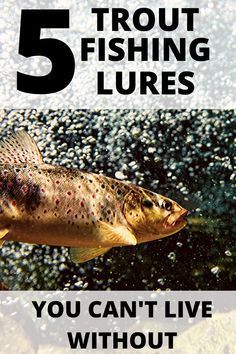 In all of my years of #fishing these #lures are hands down the best for #catching #trout. These five #baits work well for all species of trout. You can fish them in lakes, river, streams, or ponds. Fish with confidence, this article will not steer wrong. Best Trout Lures, Crappie Fishing Tips, Trout Fishing Lures, Trout Fishing Tips, Fishing 101, Trout Bait, Winter Fishing, Fishing For Beginners, Fly Fishing Tips