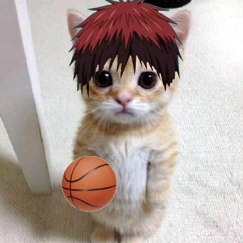 knb.kuroko on TikTok Knb Kuroko, Kuroko No Basket Characters, Basketball Anime, Kagami Taiga, Red Hair Woman, Kitty Drawing, Hello Kitty Drawing, Kuroko's Basketball, Very Funny Pictures