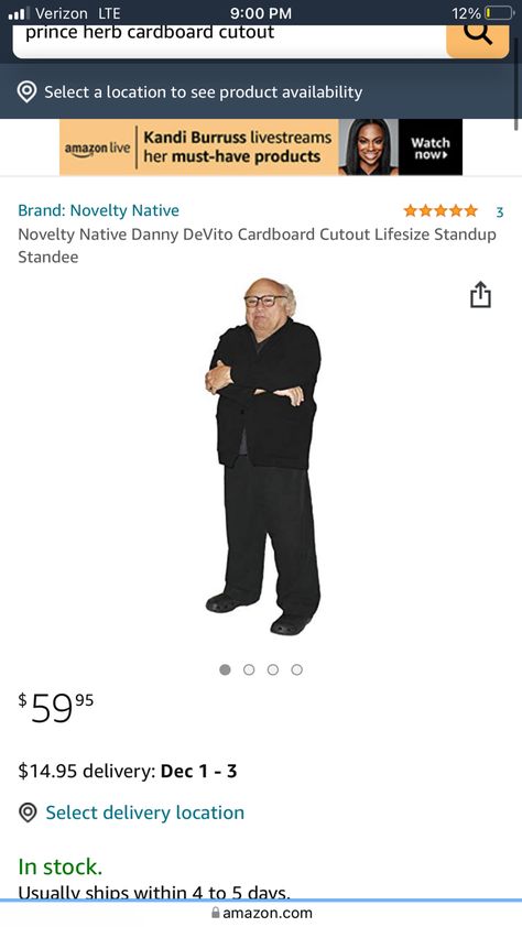 Danny Devito Cardboard Cutout, Dog Nook, Silly People, Cute Gifts For Friends, It's Always Sunny In Philadelphia, Danny Devito, Sunny In Philadelphia, Cardboard Cutouts, Cardboard Cutout