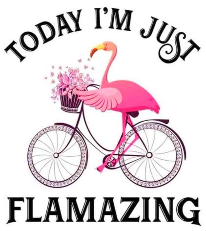 Today I'm going to be flamazing #flamingo #humor Flamingos Quote, Bicycle With Flowers, Flamingo Pictures, Flamingo Craft, Fancy Flamingo, Flamingo Wallpaper, Flamingo Theme, Flamingo Decor, Flamingo Bird