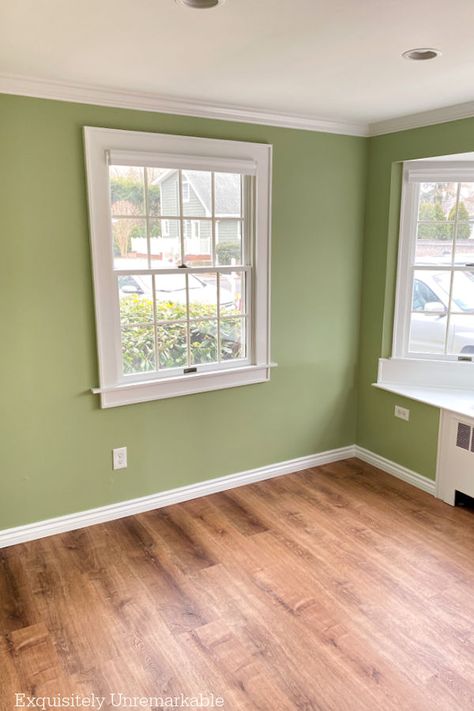 Green Painted Living Room Paints For Hall Walls, Green Shade Wall Paint, Green Living Room Benjamin Moore, Pistachio Green Wall, Warm Light Green Paint Colors, Apple Green Paint Colors, House Colors Interior Ideas Living Rooms, Soft Green Room, Aesthetic House Color