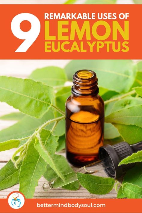 Lemon Eucalyptus Oil Uses, Benefits Of Eucalyptus Essential Oil, Lemon Essential Oil Uses, Lemon Eucalyptus Bug Spray, Lemon Balm Bug Spray, Background For Text, Doterra Lemon Eucalyptus, Lemon Myrtle Essential Oil, Bug Repellant