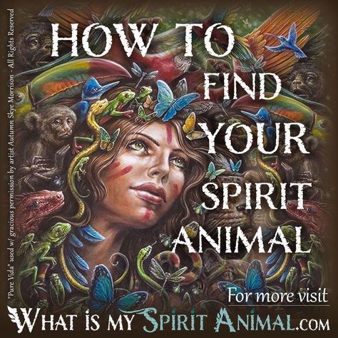 How To Find Your Familiar, Animal Totem Spirit Guides, Spirit Animal Quiz, Find Your Spirit Animal, Spirit Animal Meaning, Totem Animals, Animal Meanings, Animal Quiz, Spirit Animal Totem