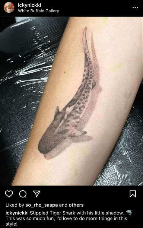 Shark Tattoo Meaning, Sea Tattoo Sleeve, Mermaid Sleeve Tattoos, Shark Tooth Tattoo, Marine Tattoo, Tooth Tattoo, Shadow Tattoo, Shark Silhouette, Shark Tattoo