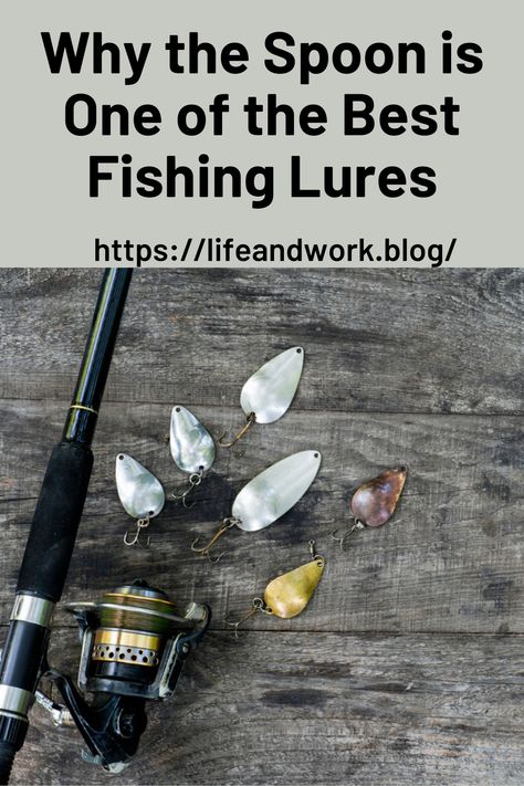 Why the Spoon is One of the Best Fishing Lures of All Time Best Fishing Lures, Fishing Spoons, Rainbow Trout Fishing, Homemade Fishing Lures, Fish Feed, Fishing Techniques, Rainbow Trout, Sport Fishing, Fishing Tackle