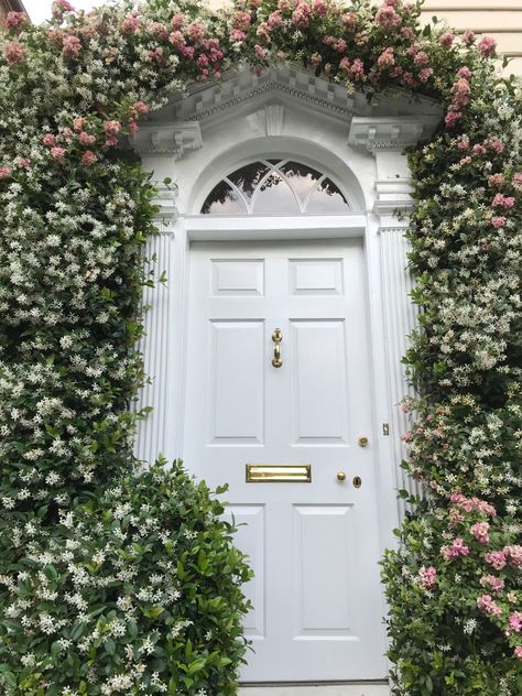 That famous door with jasmine and roses in bloom. Charleston, South of Broad. Jasmine Arch, Backyard Plants, Flower Arch, Star Jasmine, Jasmine Flower, Plant Ideas, Diy Mirror, Green House, Indoor Outdoor Living