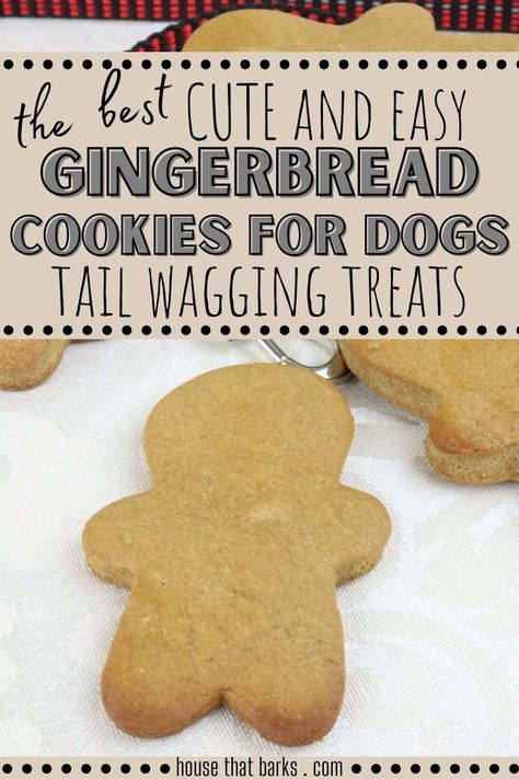 Ginger Snap Dog Treats, Ginger Dog Treats, Doggie Cookies Recipe, Dog Cookies Recipe Easy, Dog Cookies Recipe, Cookies For Dogs, Dogs Recipes, Pup Treats, Dog Cookie Recipes