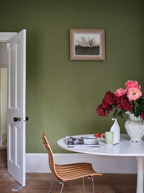 New colours by Farrow & Ball with the Natural History Museum – Olive Green Paints, Top Paint Colors, Farrow & Ball, Sap Green, Paint Trends, Trending Paint Colors, Colour Consultant, Farrow And Ball Paint, Green Paint Colors