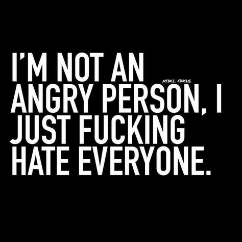 Angry Person, Twisted Quotes, I Hate Everything, I Hate Everyone, Hate Everyone, Meant To Be Quotes, Unspoken Words, I Hate People, Father Quotes