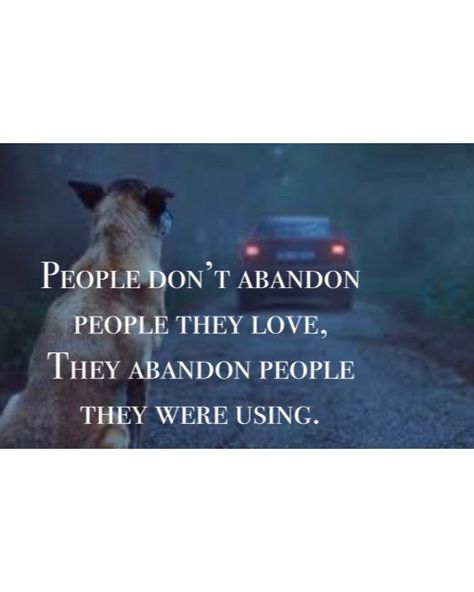 Abandoned Dogs Quotes, Abandoned Dogs, Dogs Quotes, Dog Quotes, Dogs, Quotes, Animals, Quick Saves