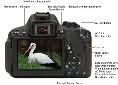 Canon 700d Camera, Photography Tips Canon, Cannon Camera, Writing Reviews, Canon 700d, Trendy Photography, Camera Tips, Nikon D5100, Photography Cheat Sheets