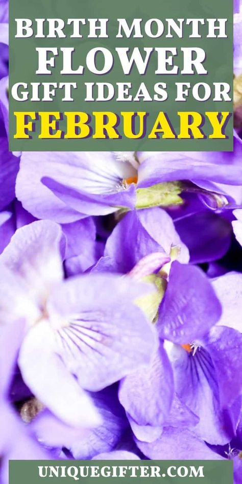 Best Birth Month Flower Gift Ideas for February | February Flower Gifts | Birth Month Gifts | Flower Gift Ideas #FebruaryFlowerGiftIdeas #FebruaryBirthdays #BestFlowerGifts #FebruaryFlowers February Flower, Superhero Gifts, Flower Gift Ideas, February Birthday, Gift Suggestions, Birth Month Flower, Month Gifts, Flower Gifts, Birth Month Flowers