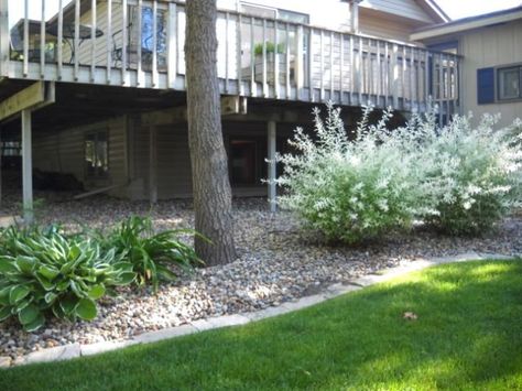 Landscape around deck Landscape Around Deck, Under Deck Landscaping, Deck Options, Landscaping Around Patio, Landscaping Around Deck, Deck Staining, Deck Addition, Deck Landscaping, Under Deck