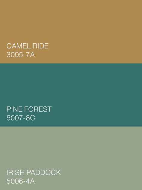 Grounded in familiar territory, Valspar colors, Camel Ride 3005-7A, Pine Forest 5007-8C and Irish Paddock 5006-4A, deliver an elegant, earthy richness to the Good Company palette. Available at Lowe's. Valspar Colors, Research Poster, Living Space Decor, Color Palette Design, Pine Forest, Boy's Bedroom, Color Of The Year, Color Pallets, Sherwin Williams