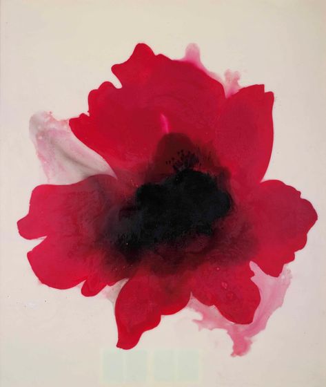 José Maria Sicilia (b. 1954) , La luz que se apaga (Flor roja) | Christie's Sensory Art, Comic Style Art, Sketch Inspiration, Flower Graphic, Painting Photos, Art Auction, Art Reference Photos, Figurative Art, Contemporary Artists