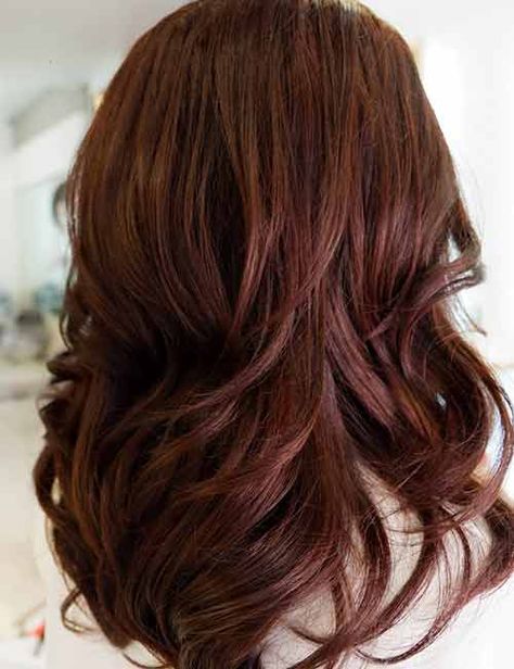 30 Best Shades Of Brown Hair - Mahogany Brown Hair Color Hair Color Mahogany Brown, Level 6 Red Brown Hair Color, Red Brown Medium Length Hair, All Over Red Brown Hair Color, Cinnamon Mocha Hair Color, Brown Burgandy Hair Color, Rich Brown Red Hair Color, 5rb Hair Color, Mahogany Brown Hair Color With Highlights