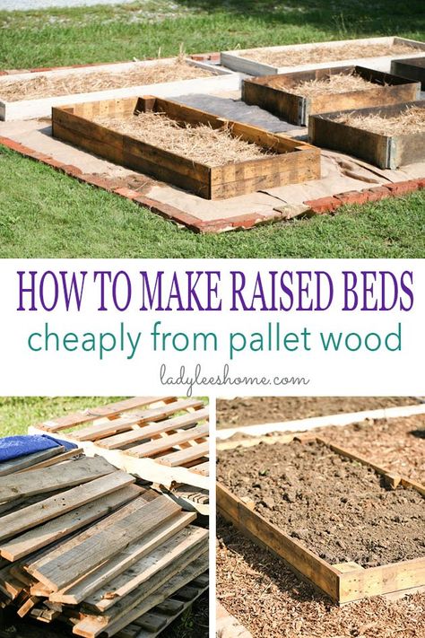 Garden Beds With Pallets, Pallet Raised Beds Diy, Raised Beds From Pallets, Pallette Garden Bed, Easy Diy Raised Garden Bed Pallet, Raised Bed From Pallets, How To Make A Raised Garden Bed From Pallets, Raised Garden Bed From Pallets, Pallet Raised Bed