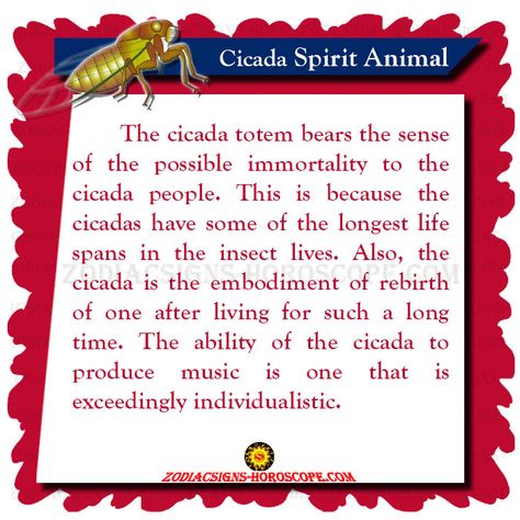 Cicada Spirit Animal Meaning Cicada Quotes, Cicada Meaning Spiritual, Cicada Spiritual Meaning, Spider Spirit Animal Meaning, Spiritual Meaning Of Centipede, Cicada Meaning, Cicada Symbolism, Spirit Animal Meaning, Animal Meanings