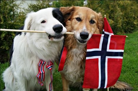 17TH MAY - HAPPY BIRTHDAY NORWAY!!! Norway National Day, Syttende Mai, Lego Christmas Village, Norwegian Heritage, 17. Mai, Beautiful Norway, American History Lessons, Constitution Day, Puppies And Kitties