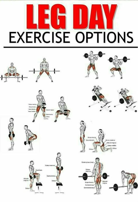 Leg Day Exercises, Leg Workouts For Men, Leg Workouts Gym, Best Leg Workout, Muscle Abdominal, Gym Workout Chart, Workout Routine For Men, Workouts For Men, Leg Day Workouts