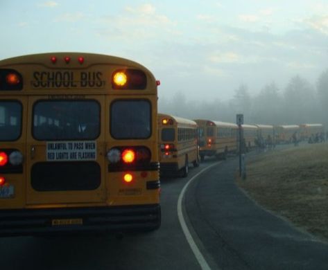 School Bus Nostalgia, Old School Bus, School Buses, Music Career, Magic School Bus, Magic School, School Bus, Buses, Live Music