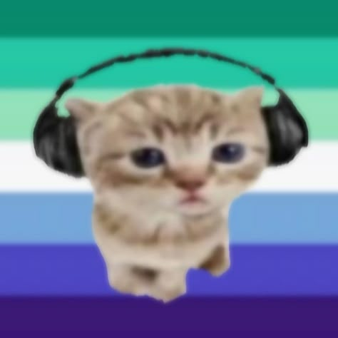 Cat With Headphones, Primark Haul, Cat Headphones, Pfp Cat, Funny Flags, Jokes About Men, Flag Template, Spiderman Art Sketch, Trans Flag