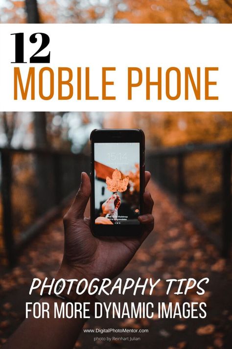 Phone Photography Tips For Beginners, Cell Phone Photography Ideas, Photography Mobile Ideas, Mobile Videography Ideas, Smartphone Photography Ideas, Phone Photography Ideas, Mobile Photography Ideas, Cellphone Photography, Dynamic Photos