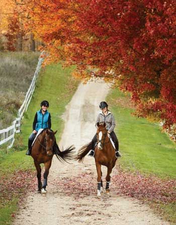 As a horse-crazy kid, there’s a lot to look forward to when fall arrives. The flies have finally given up and summer heat is fading away. It’s the perfect time to enjoy trail rides through colorful leaves, shopping for a new riding jacket with those fall sales online, and more. But fall also means balancing school work and riding. #horsesandschool #balanceschoolwork #horsescheduleforkids Horse Trail Ride, Horse Riding School, Horse Club, Dream Stables, History Essay, Riding School, Fall Shows, Dream Yard, Riding Horse