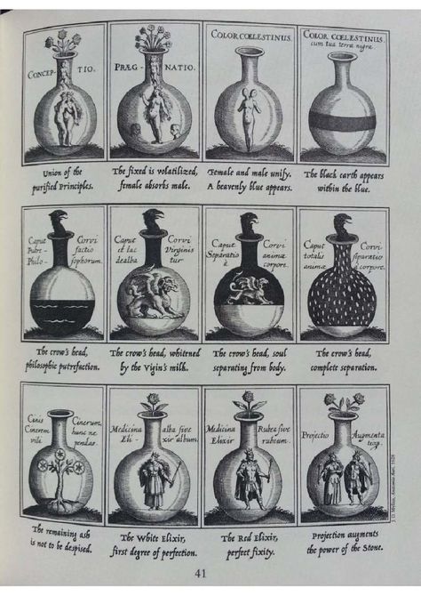 Alchemy Manuscript, Alchemy Potions, Alchemist Kitchen, Alchemy Art Illustrations, Alchemy Aesthetic, Alchemist Aesthetic, Medieval Alchemist, Alchemy Art, Alchemic Symbols