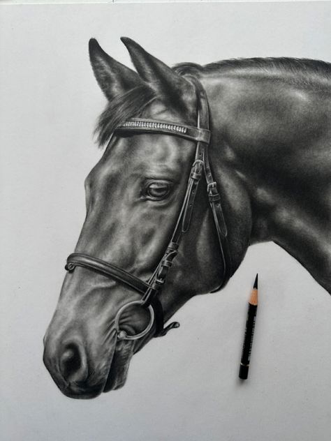 NEW & UPDATED One pencil Masterclass is here ✨ After the fantastic response to my last one pencil masterclass, I am delighted to release this new and updated 10 hour class. I'm actually still shocked that I managed to get such a realistic result with such little materials and I'm so excited to share this one with you. (Black Polychromos on Pastelmat) Realistic Horse Drawings, Horse Drawings Pencil, Equine Art Pencil Drawings, Horse Pencil Drawing, Jesus Art Drawing, Horse Art Drawing, Pencil Drawings Of Animals, Horse Sketch, Realistic Pencil Drawings