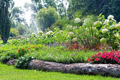 Log Landscaping, Wood Garden Edging, Landscape Edging Stone, Native Landscaping, Coastal Cottages, Garden Edging Ideas, Garden Goals, Building Raised Garden Beds, Edging Ideas