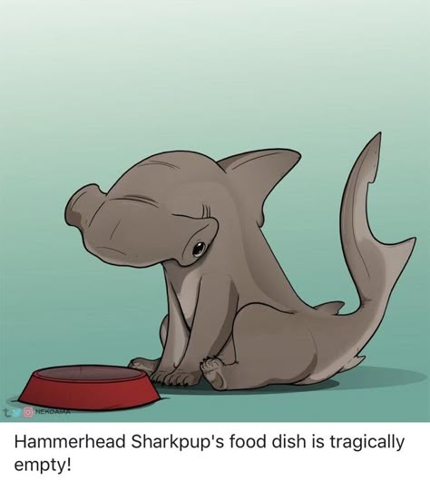 Shark Dog, Happy Shark, Shark Drawing, Shark Art, Hammer Head, Cute Shark, Fantasy Beasts, Oh My Goodness, Shark Week