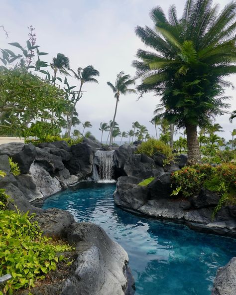 take me back to 📍grand hyatt kauai i won’t ever go back to kauai without staying here, tbh #hosted 🌈 from the beach to the running trails to the shower to the spa to the restaurant to the lazy river & the ocean views.. this place HAS IT ALL 🤩 if only i could have @tidepoolskauai moscato & grilled feta salad one more time 🤤 Grilled Feta, Grand Hyatt Kauai, Kauai Resorts, Running Trails, Arizona Hiking, Lazy River, Grand Hyatt, Feta Salad, Take Me Back