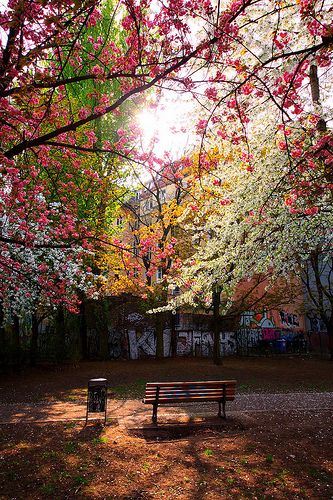 Spring Colors  Graffiti - Berlin, Germany Berlin Graffiti, Berlin City, Travel To Europe, A Park, Berlin Germany, Tour Packages, Spring Colors, Tandem, Park Bench