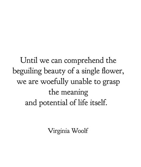 Virginia Woolf Virginia Wolf Quotes, Virginia Woolf Quotes, Virginia Wolf, Eleanor Roosevelt, Literature Quotes, Sylvia Plath, Virginia Woolf, Ralph Waldo Emerson, Mark Twain