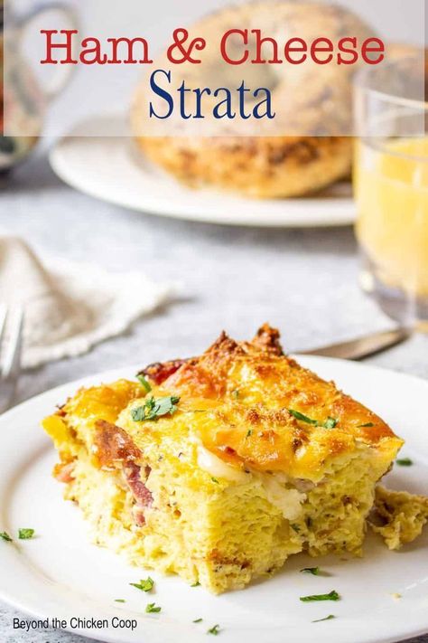 Whether you're planning a hearty breakfast, brunch, or even breakfast for dinner, this ham and cheese strata is your best bet for a delicious and easy meal. This homemade dish combines the rich flavors of ham and cheese with eggs in a simple yet impressive way. Try it now! Ham And Cheese Strata Recipes, Ham And Cheese Strata, Xmas Brunch, Egg Casseroles, Ham And Cheese Casserole, Ham Breakfast Casserole, Savoury Bread, Cheese Strata, Strata Recipes