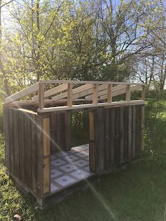 Diy Pallet Duck Coop, Duck House Pallets, Pallet Duck Coop, Quack Shack Ideas, Pallet Duck House, Duck House Diy, Quack Shack, Mini Homestead, Pallet Coop