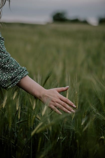 Wheat Farm, Photo Of People, Mosque Art, Foto Aesthetic, People Portrait, Lovely Photo, Hd Photos, Wheat, Photo Gallery