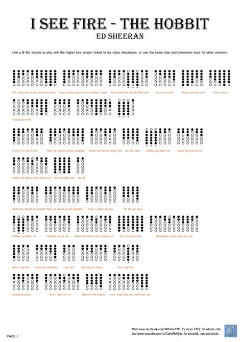 Dizi Flute, Recorder Notes, Tin Whistles, Penny Whistle, Native American Flute Music, Irish Flute, Bagpipe Music, Transverse Flute, Hobbit Party