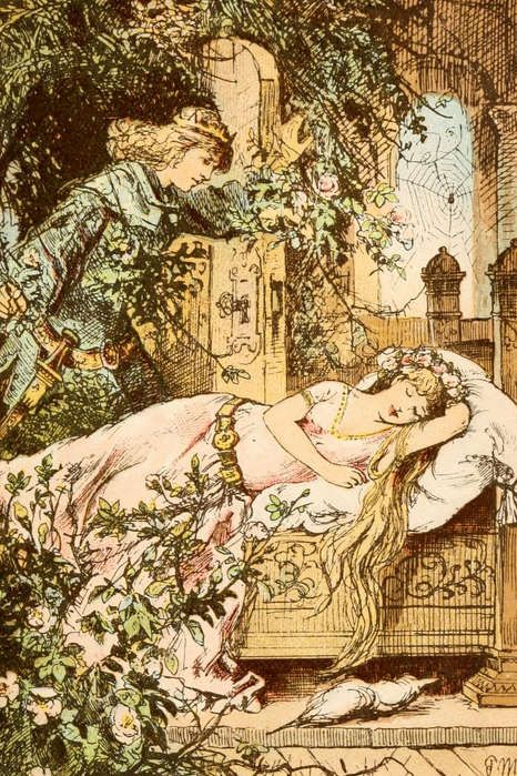 Sleeping Beauty Illustration, Sleeping Beauty Art, Famous Fairies, Brothers Grimm, Grimm Fairy Tales, Fairytale Illustration, Pretty Princess, Briar Rose, Beauty Illustration