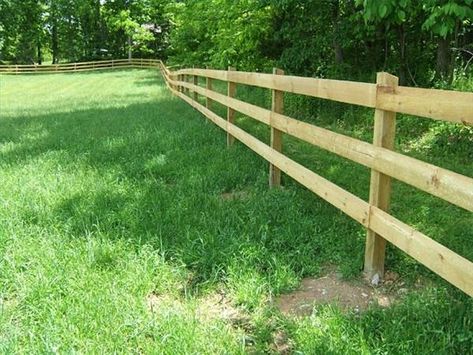 Farm Fence Gate, Diy Dog Fence, Horse Fence, Pasture Fencing, Country Fences, Fence Plants, Black Fence, Horse Fencing, Rustic Fence