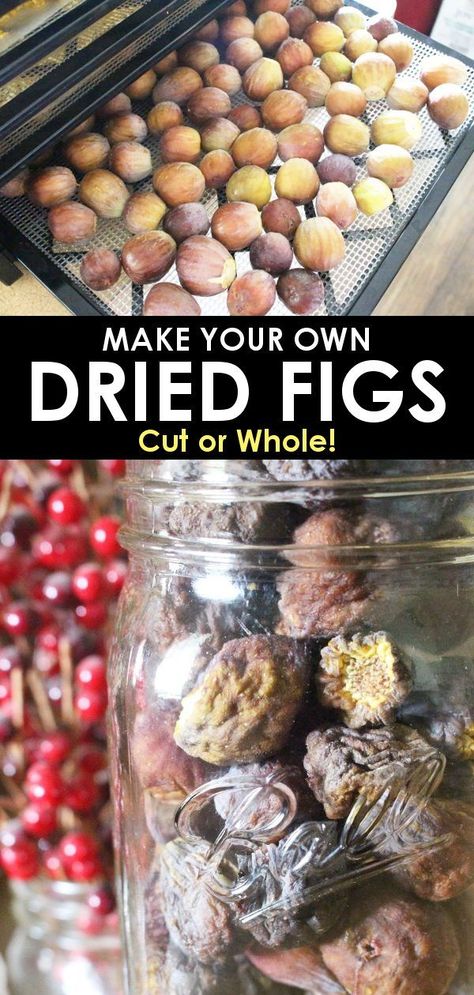 Make your own dried figs and learn what to do with them in this delicious dehydrated fig recipe! Figs Recipes, Dehydrator Recipes Fruit, Refrigerator Jam, Dehydrating Food, Recipes Fruit, Fresh Summer Salad, Fig Recipes, Dehydrated Fruit, Dried Figs