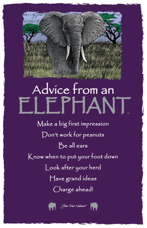 Elephant Spirit Animal, Elephant Meaning, Elephant Quotes, Animal Sayings, Elephant Facts, Elephants Never Forget, Elephant Pictures, Spirit Animals, Elephant Decor