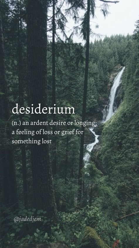 Pretty Words For Nature, Desiderium Aesthetic, Words That Mean Ocean, Pretty Nature Words, Random Words Aesthetic, Kalopsia Aesthetic, Dark Words Aesthetic, Nature Words Unique, Beautiful Words With Dark Meanings