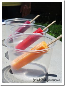 Great end of the year Popsicle melting experiment. I am going to try this one next year! 2nd Grade Science Projects, Kids Science Fair Projects, Science Club, End Of Year Activities, 5th Grade Science, Science Projects For Kids, Fair Projects, Cool Science Experiments, Kindergarten Science