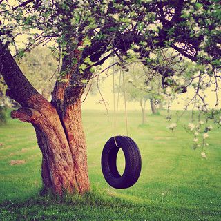 The old tire swing... | If you've grown up on a farm or in t… | Flickr Matilda Aesthetic, We Were Liars Aesthetic, Living In Countryside, Bucket List Aesthetic, Wooded Backyard, Diy Tire, Tire Chairs, Character Activities, Reuse Old Tires